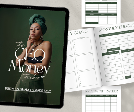 The CEO Money Tracker | Business Finance Made Easy | PLR/MRR